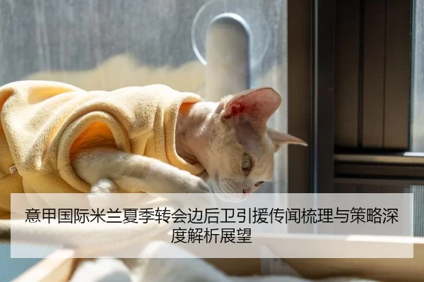 意甲国际米兰夏季转会边后卫引援传闻梳理与策略深度解析展望